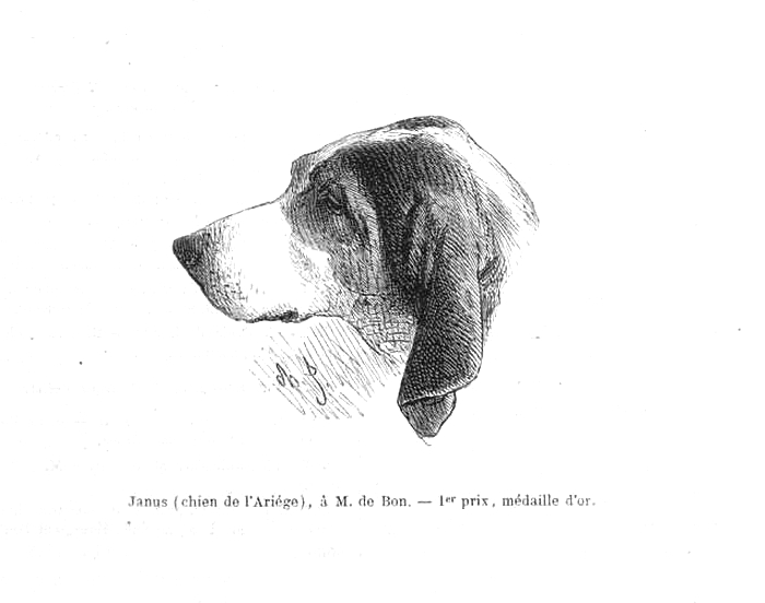 Janus à M. de Bon - Illustration tirée de La Vie à la Campagne (Mai 1863)